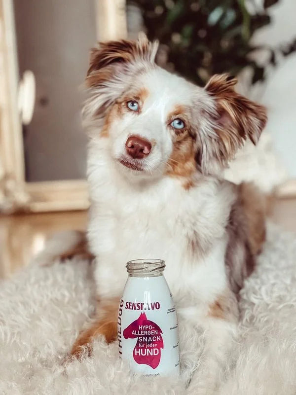 Smoothie Sensitive - Smoothiedog