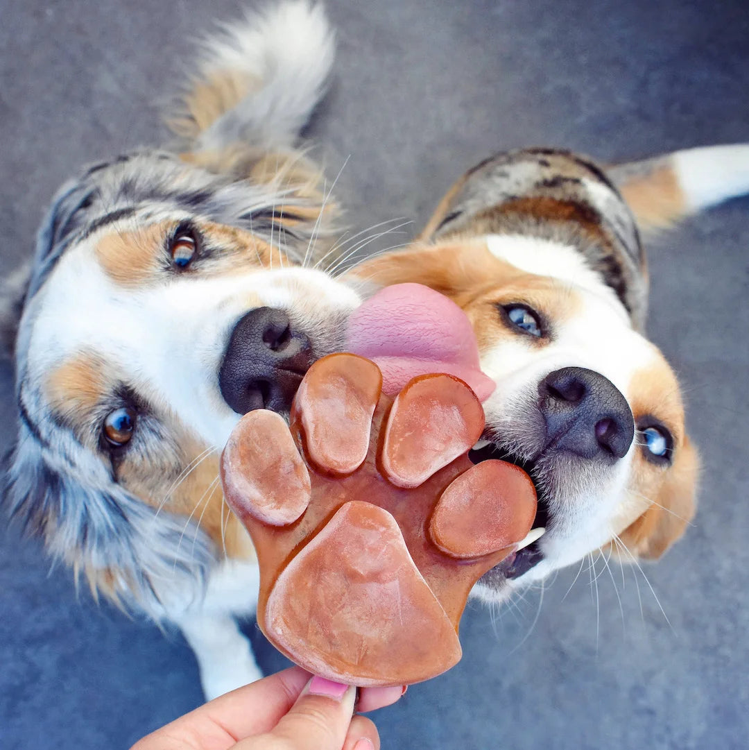 Moule à glace/gâteau - SmoothieDog