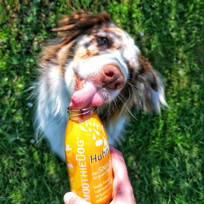 Smoothie classique - Smoothiedog