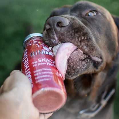 Smoothie classique - Smoothiedog