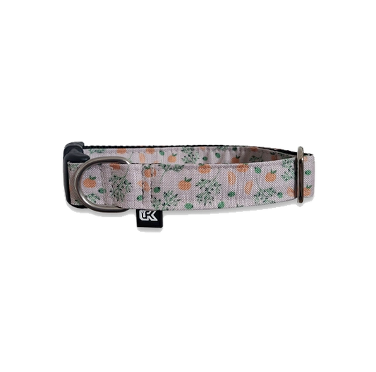 Collier imperméable LFK - PeeweePaw