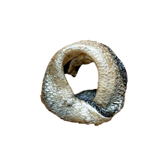 Donuts (ringo) de saumon