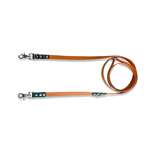 Laisse en biothane LFK - PeeweePaw