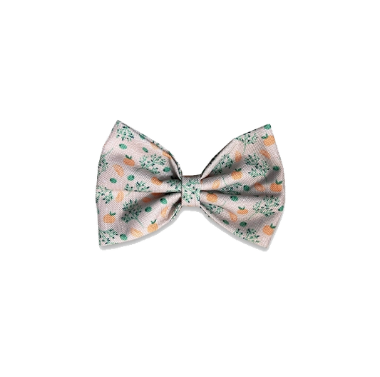 Noeud papilon imperméable LFK - PeeweePaw