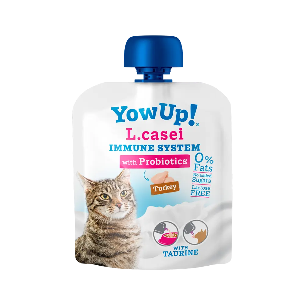 Yaourt L casei - Yowup pour chat