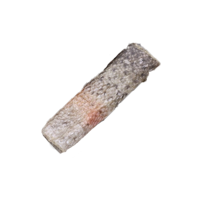 Rouleaux de saumon