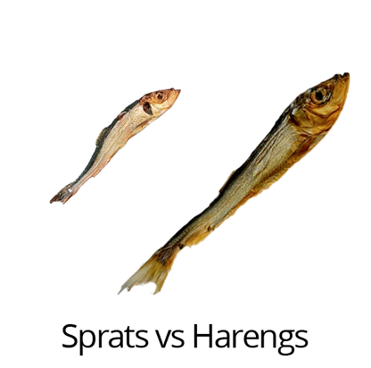 Sprats
