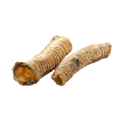 Trachées de chameau