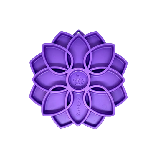 Plateau d'enrichissement Mandala eTray - Sodapup