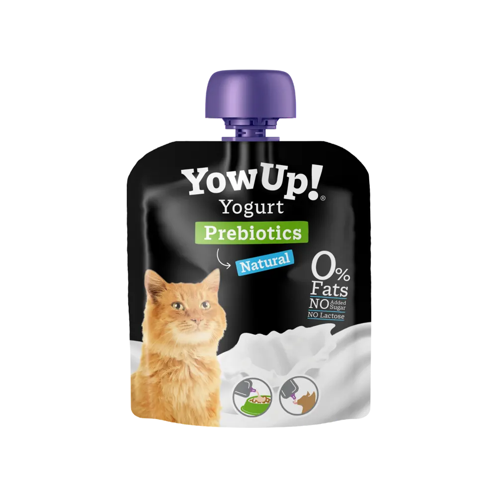 Yaourt - Yowup pour chat