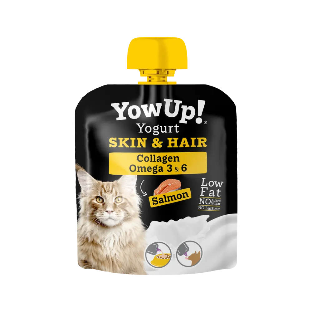 Yaourt - Yowup pour chat